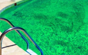Limpieza de agua de piscina verde