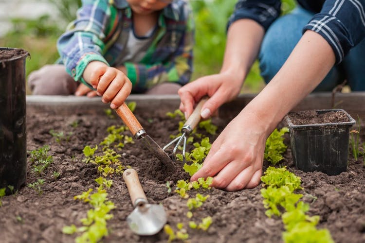 el hombre y el niño están fertilizando la tierra en un jardín exterior.