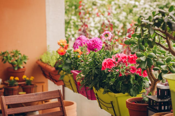 Plantas coloridas en varias macetas en el porche de una casa forman un 'banco'.