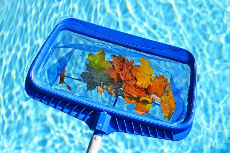 Tamiz para quitar las hojas de la piscina