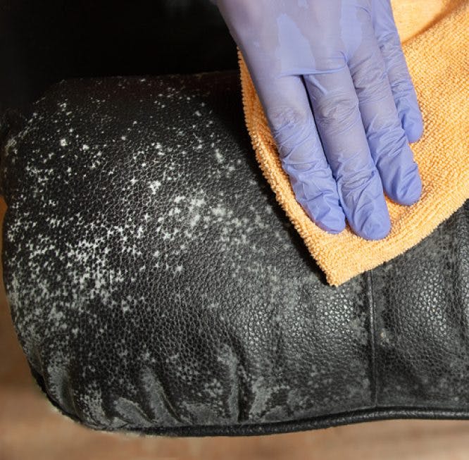 Un hombre está limpiando un sofá de cuero que tiene marcas de moho.