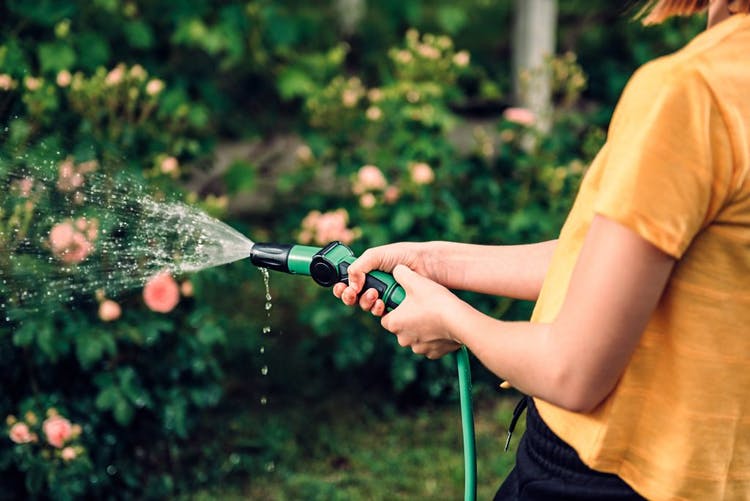 mujer regando plantas con manguera