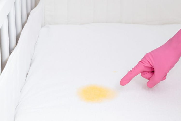 Persona con guante rosa señala mancha de orina en el colchón