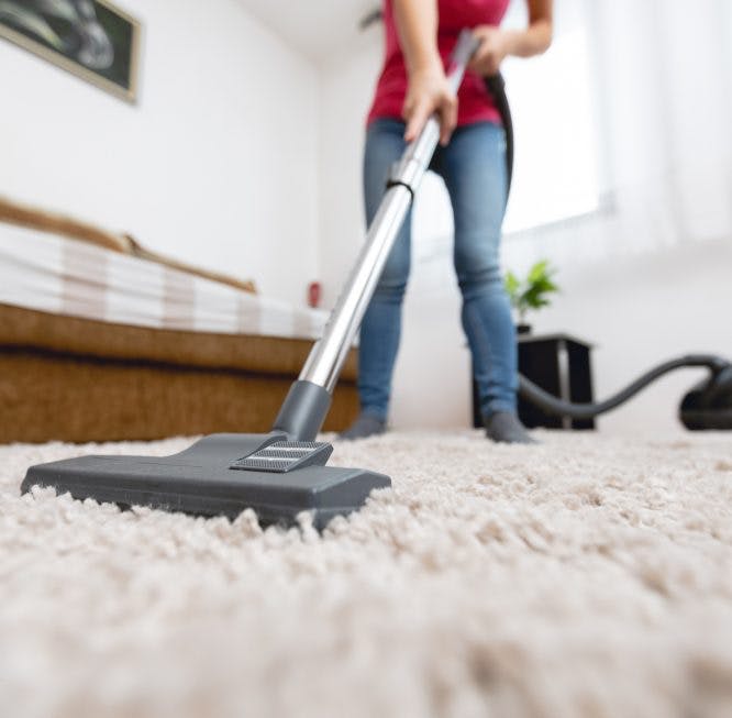 La mujer usa una aspiradora para limpiar la alfombra de la habitación