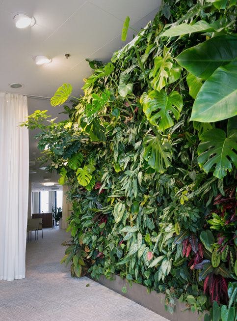 Una 'pared verde' con plantas artificiales que ocupan toda la estructura.