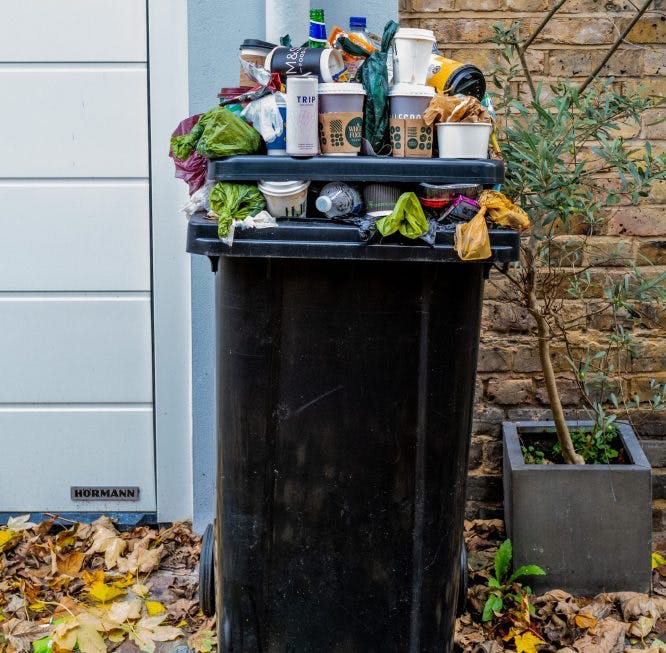 ¿Cómo reducir los residuos domésticos?  Ver ideas para poner en práctica ahora