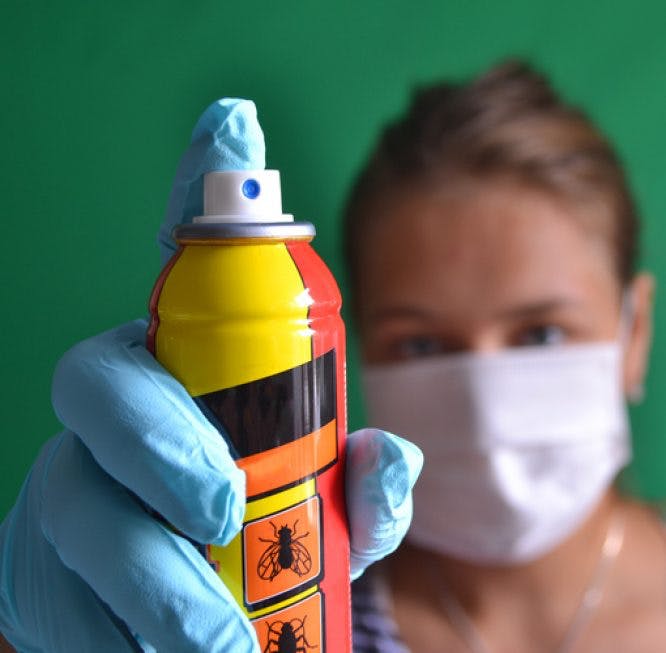 Una mujer sostiene un insecticida.  Lleva una máscara y está lista para disparar el spray.