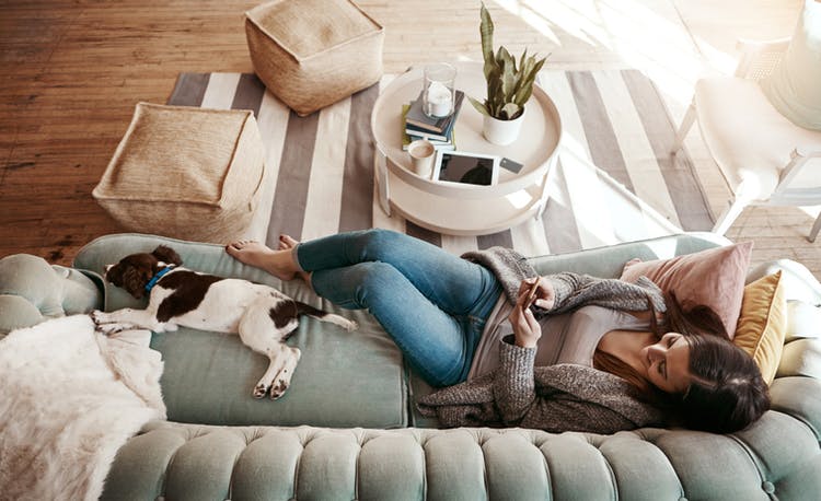mujer con perro sentado en un sofá en la sala de estar