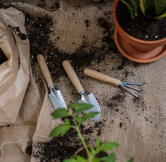 Descubre qué herramientas de jardinería son imprescindibles tener en casa