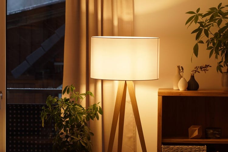 Lámpara de trípode junto a un plano de planta de un estante en una habitación