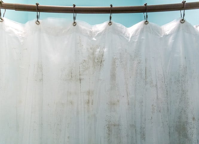 cortina de baño de plástico unida por ganchos